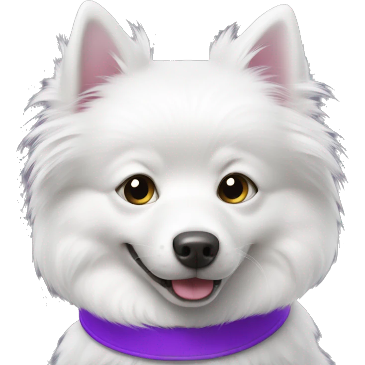 white spitz with purple collar  emoji