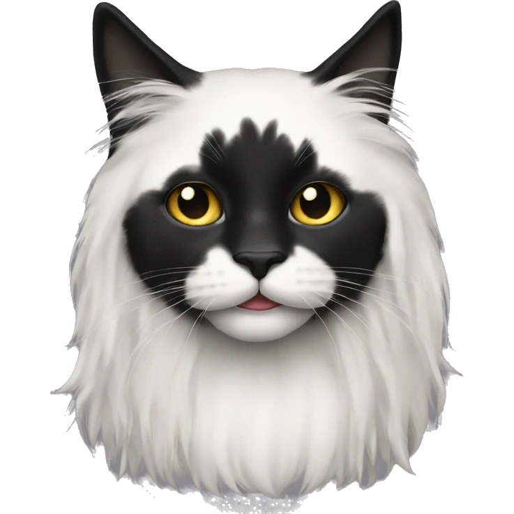 black cat long haired with muzzle half white emoji
