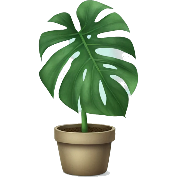 Monstera plant in pot emoji
