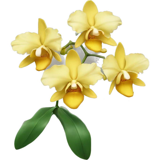Yellow orchid emoji
