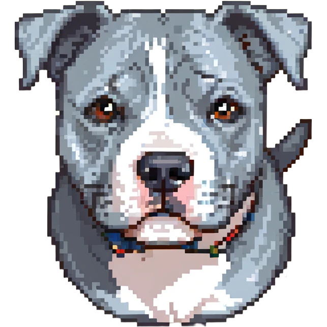 round circle puppy head full grey bleu staffy, stupid expression emoji