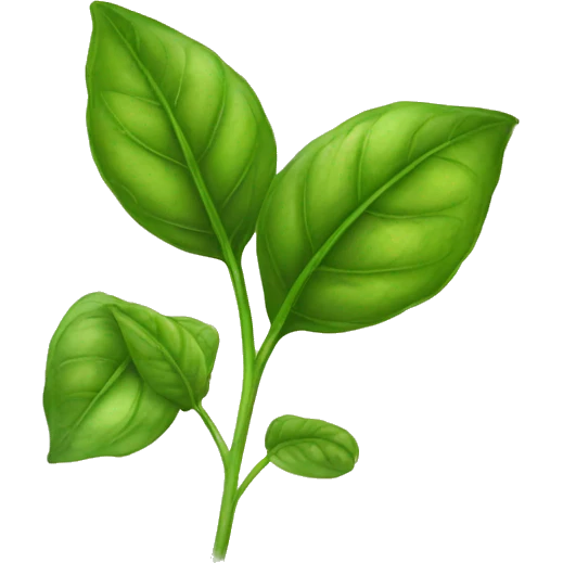 basil leaves emoji