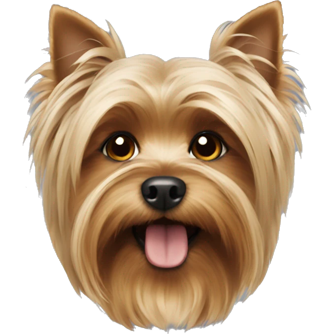 Yorkshire terrier emoji