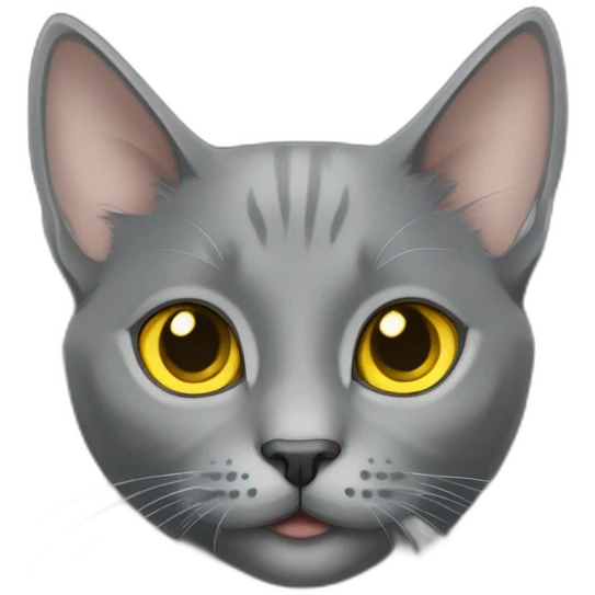 cuddly fluffy grey korat breed cat with yellow eyes black pupils, walking and playing female emoji