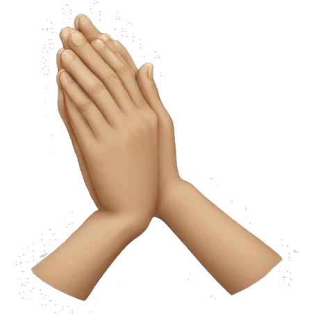 HANDS IN PRAYER emoji