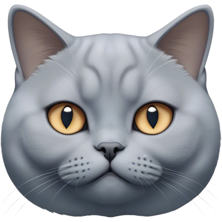 Cinematic Elegant Grey British Shorthair Cat Portrait Emoji, Head tilted slightly with a scrunched, iconic British Shorthair face, sleek soft grey fur with subtle blue undertones, Simplified yet sharp features, highly detailed, glowing with a warm, confident glow, high shine, poised and regal, stylized with an air of grace, focused and attentive, soft glowing outline, capturing the essence of calm elegance and quiet charm, so lifelike it feels as though it could turn its head and give a dignified meow at any moment! emoji