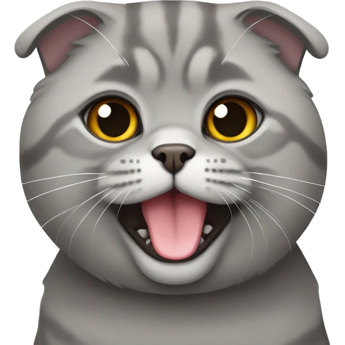 Gray Scottish fold cat  emoji