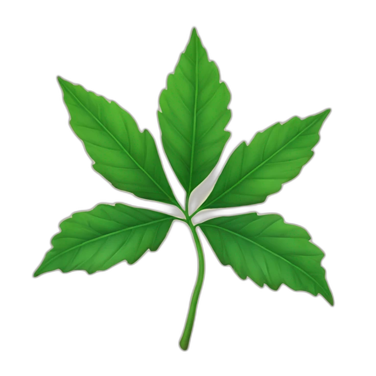 Une feuille d’érable japonais verte emoji