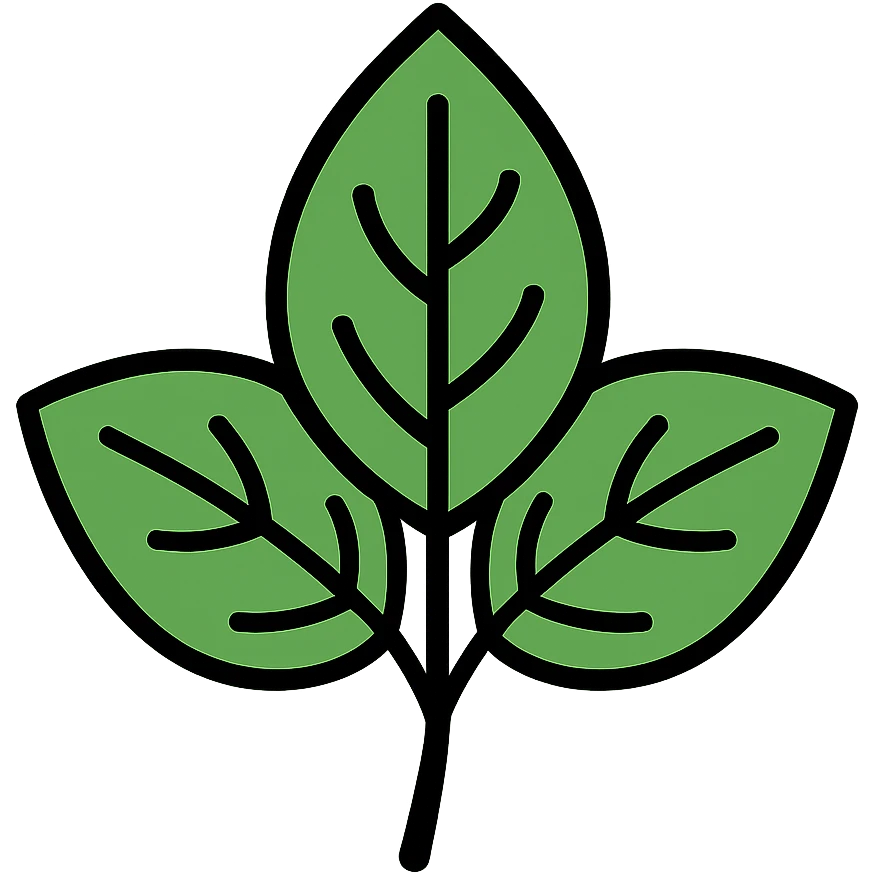 Green basil leaf herb plant emoji
