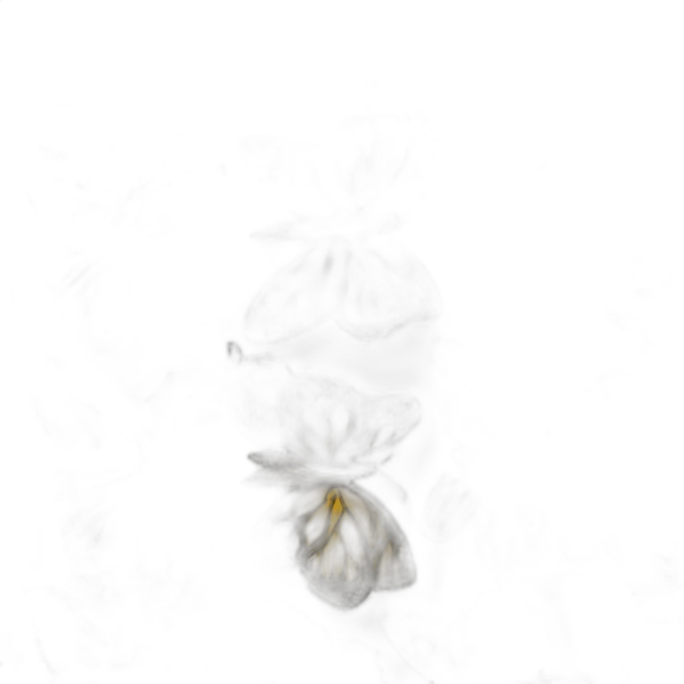 Dj butterfly's emoji