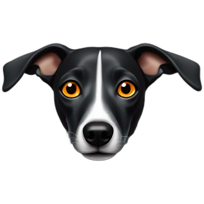 black whippet with orange eyes emoji