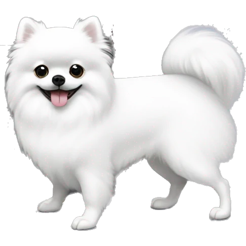 White pomeranian and white next to a grey hermes birkin bag emoji