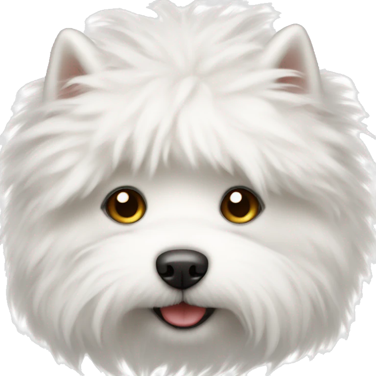 cute little white fluffy dog  emoji