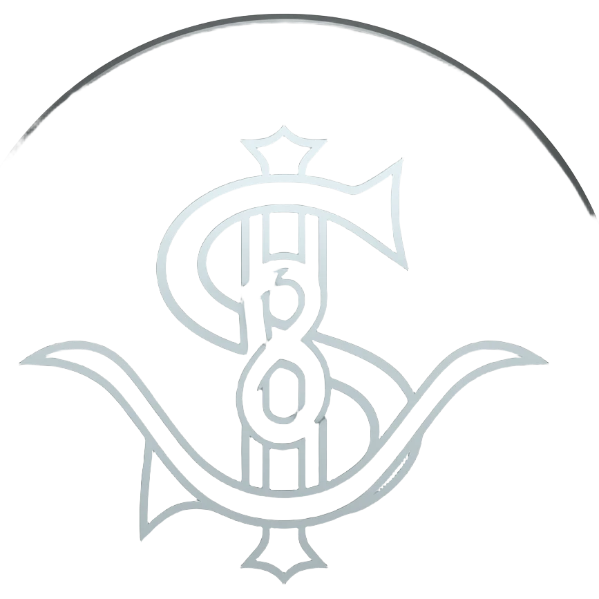 Dusk Essence ( it a type of currency)
make it look like a currency from soul game 
i need it too look like shadow or dark emoji