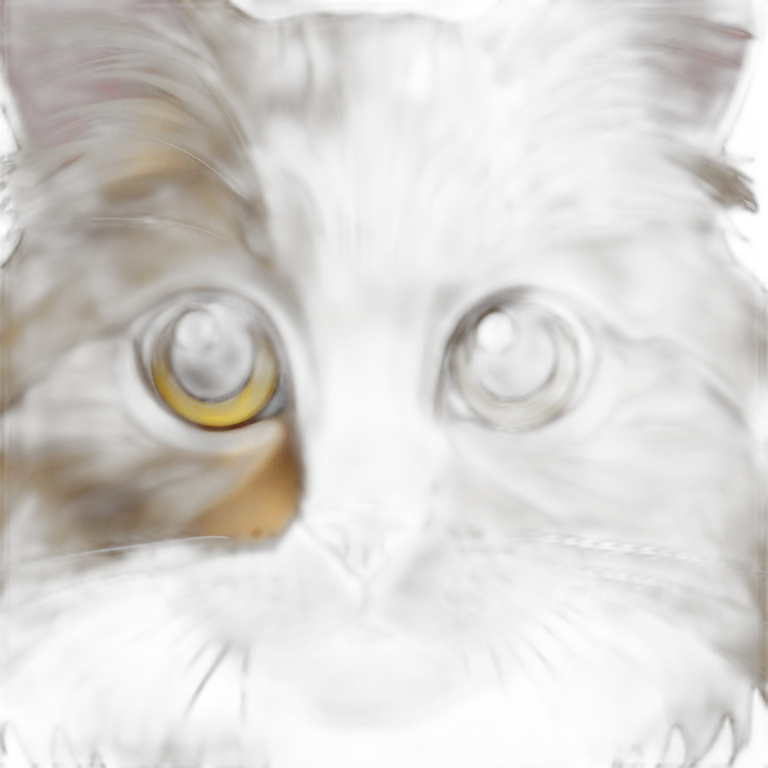 maine coon cat with golden face and white front paws emoji