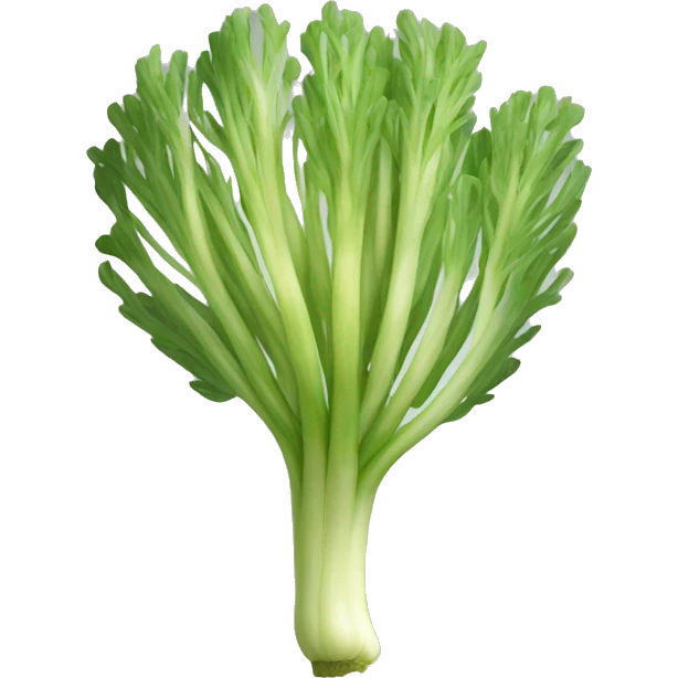 A single fennel emoji
