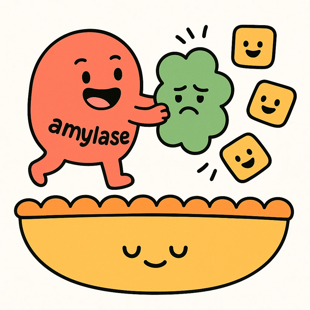 Ultra-detailed emoji-style illustration of enzyme digestion: Red amylase breaking green starch into sugars near a yellow cell membrane. Clean white background, no text. Scientific but simple, cartoon-exact shapes emoji