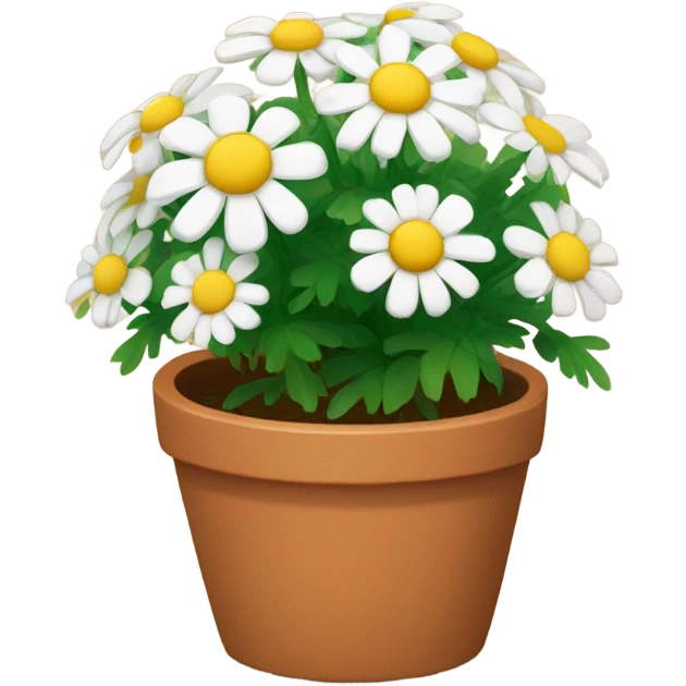 chamomile in terracotta pot emoji