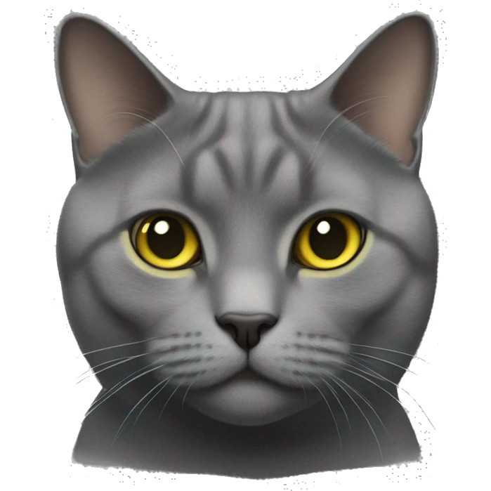 Realistic Thick chartreux cat emoji