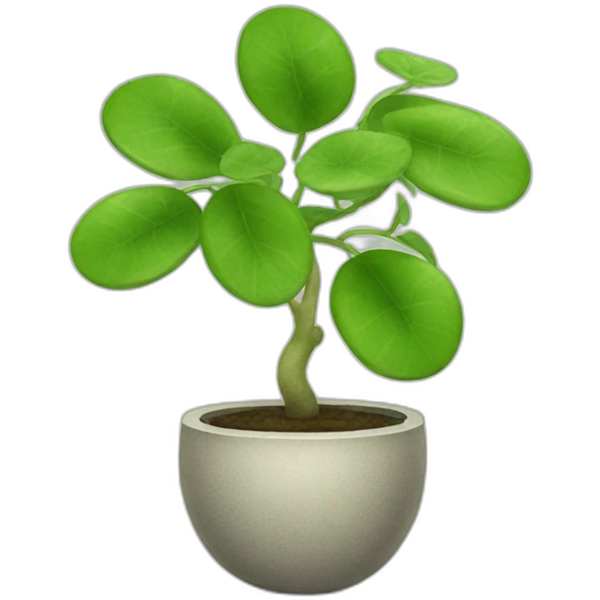chinese money plant emoji