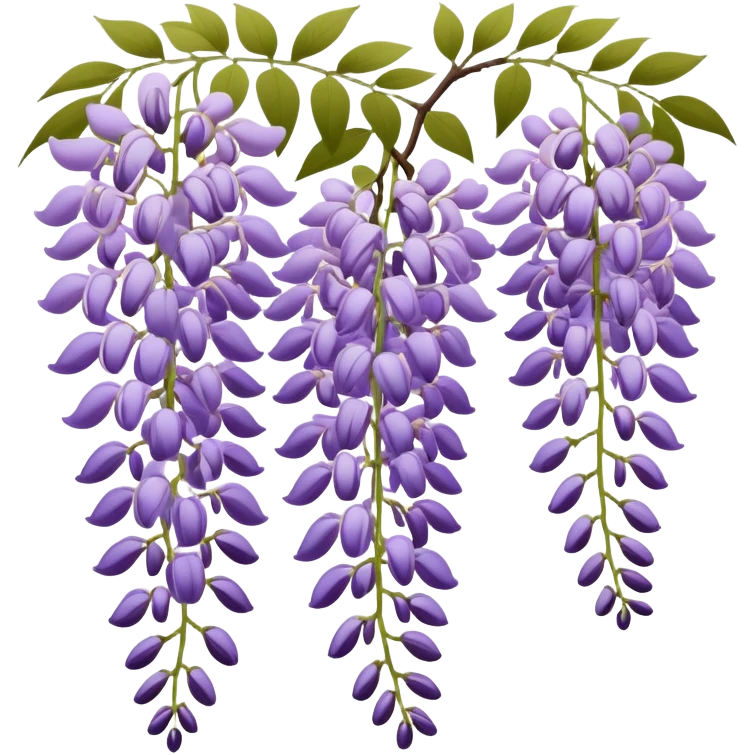 Japanese style wisteria (fuji) flower in elegant ukiyo-e inspired design, cascading purple blooms hanging like in traditional Japanese gardens, with gentle curved lines emoji