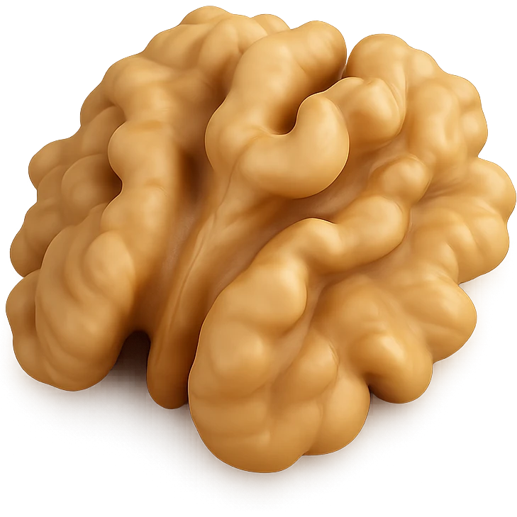 Edit the walnut kernel image to keep a realistic look with no shell and no face. Add a light shadow underneath for depth. Remove the background. The original style is 3D emoji style, but since it does not support editing, use a general style while preserving the 3D emoji realistic appearance. emoji