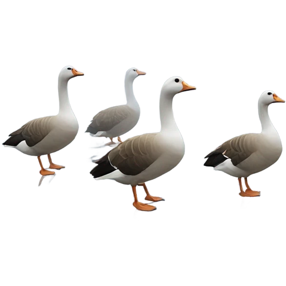 the geese in the fog emoji