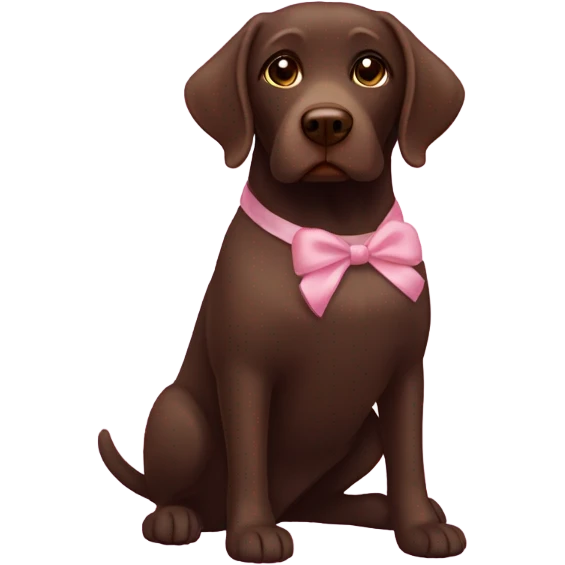 Chocolate lab wearing tutu emoji