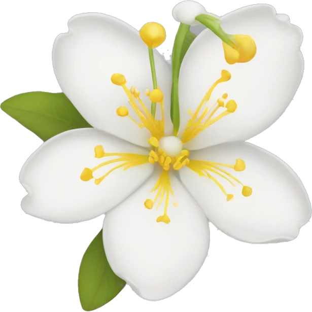  Jasmine flowers white petals and yellow center of stamens. emoji