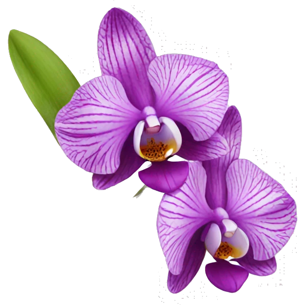 Orchidee emoji