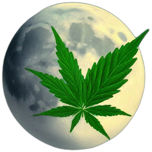 Moon holds cannabis emoji
