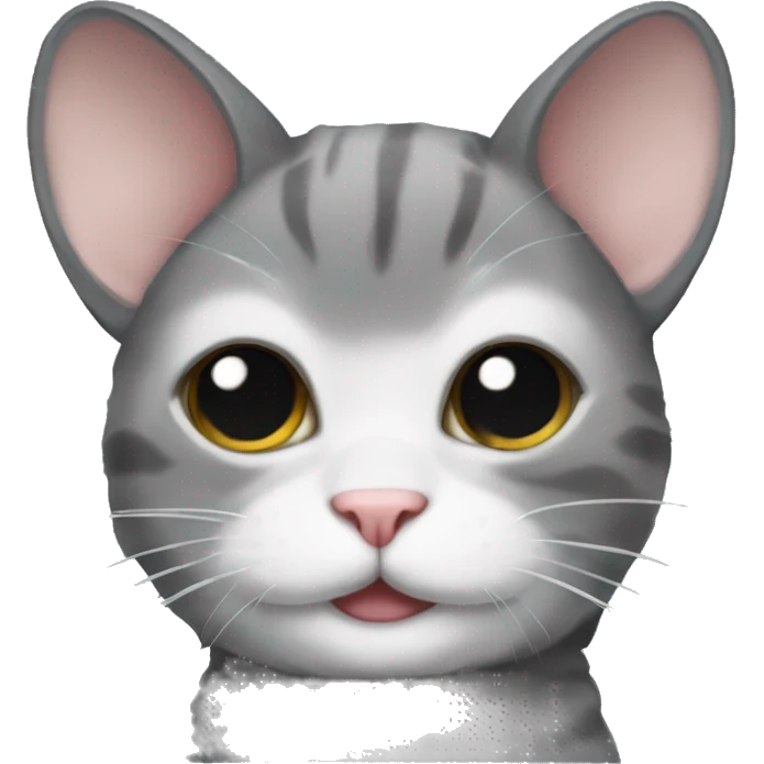 Chinchilla cat emoji