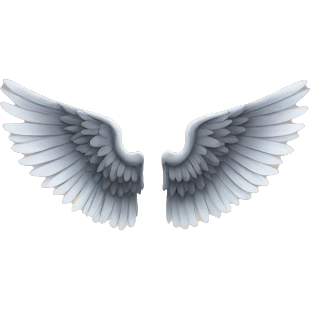 wings emoji