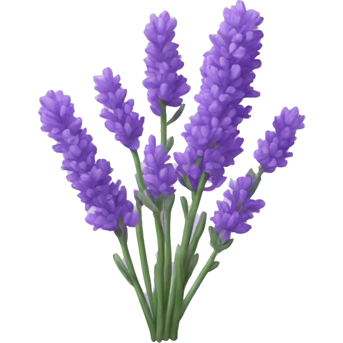 Lavender emoji