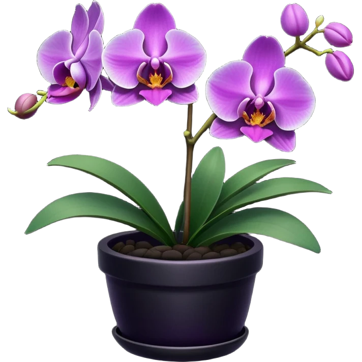 Purple Orchid in a black pot emoji