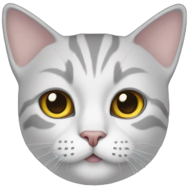 A cat in anonymous's emoji