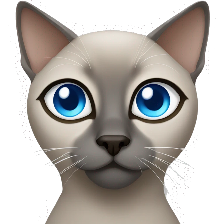 Grey tonkinese cat blue eyes emoji