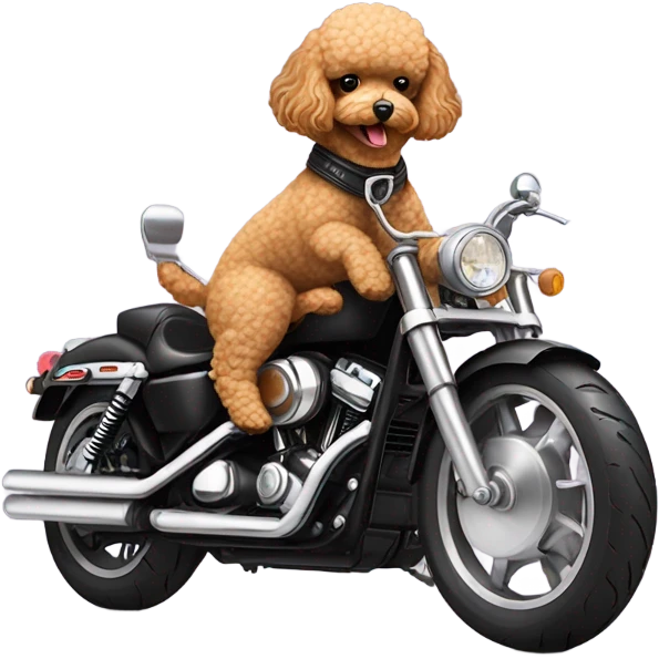 Toy poodle riding a Harley Davidson  emoji