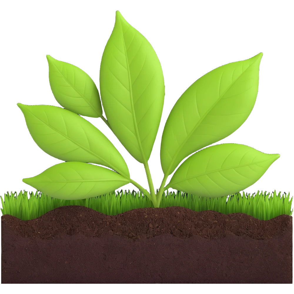 A fresh green leaf placed on soil or grass, clearly above the ground. emoji