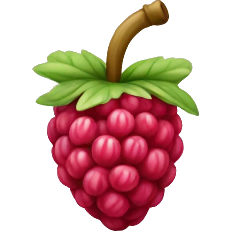 Raspberry  emoji