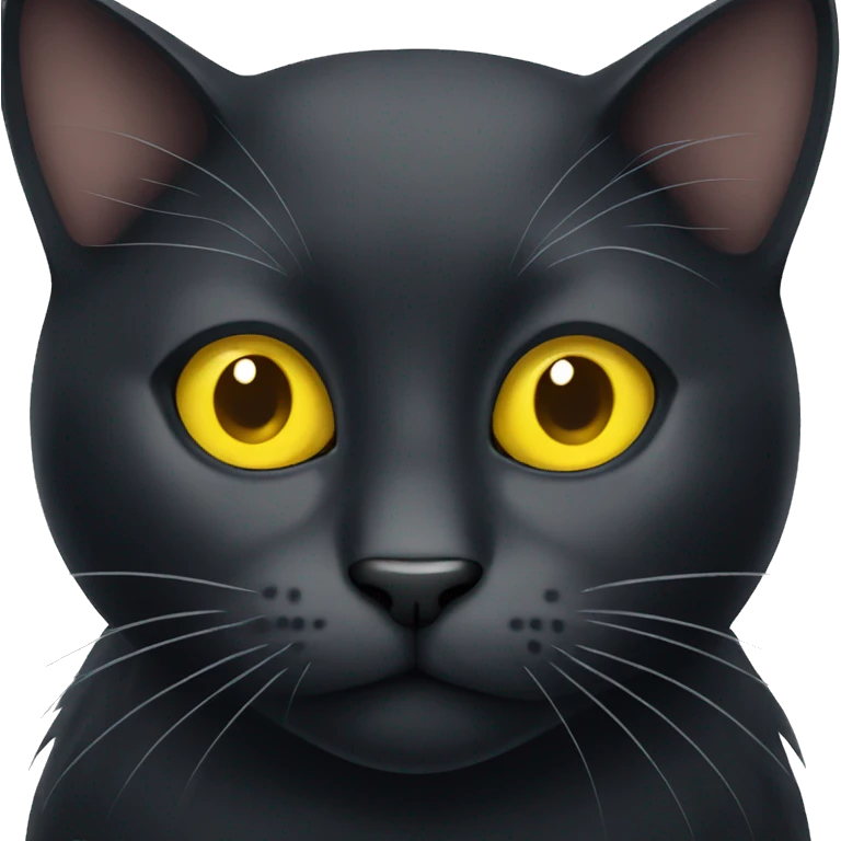 A black cat with yellow eyes and a white mustache emoji