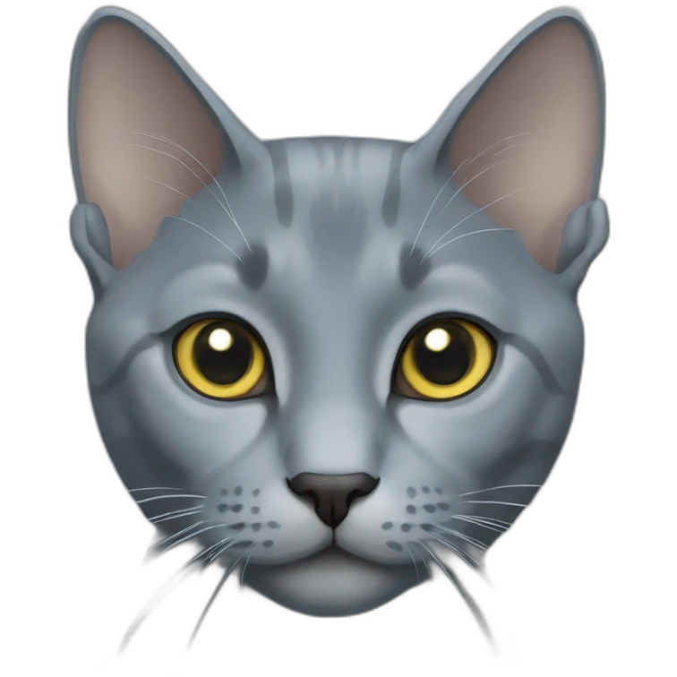 Cat Russian blue emoji
