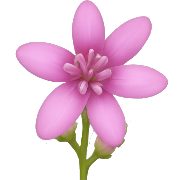 Pink Bitterroot flower emoji