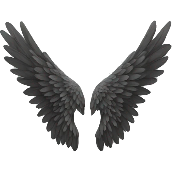Two wings emoji