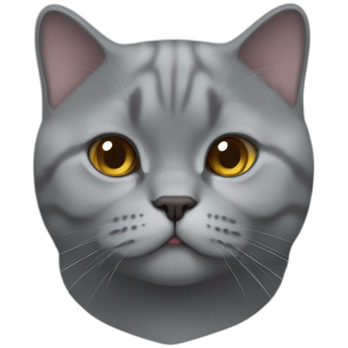 british-shorthair emoji