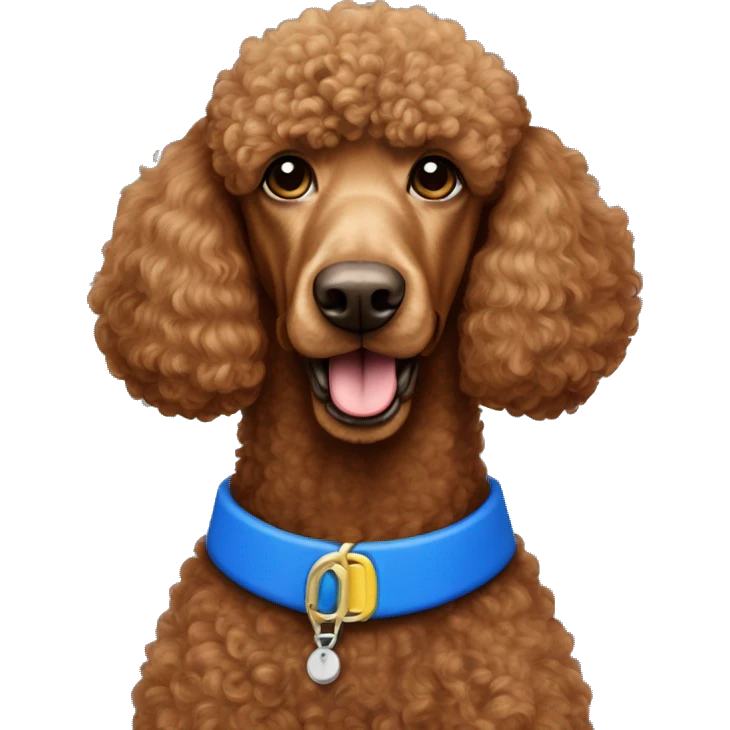red standard poodle with blue collar  emoji