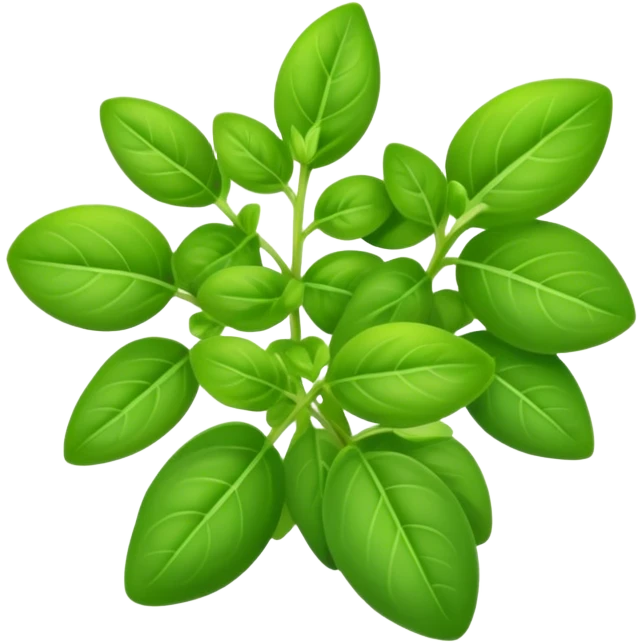 Marjoram herb  emoji