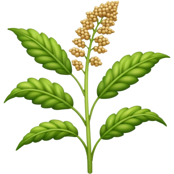 quinoa plant with grains emoji