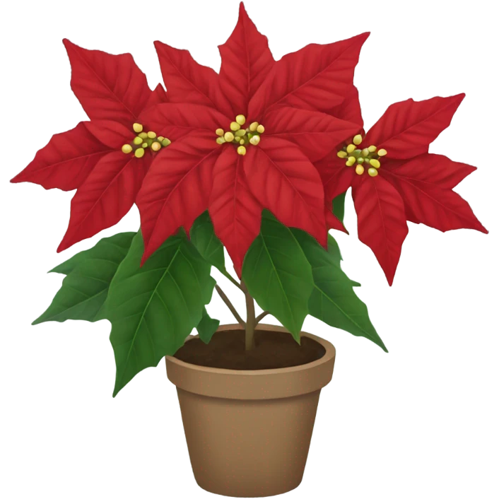 Poinsettia  emoji