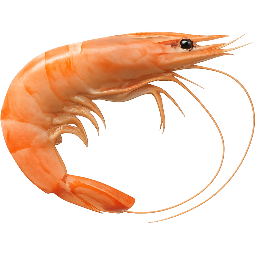Shrimp emoji